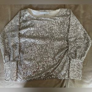 Beautiful Silver Sequence Top